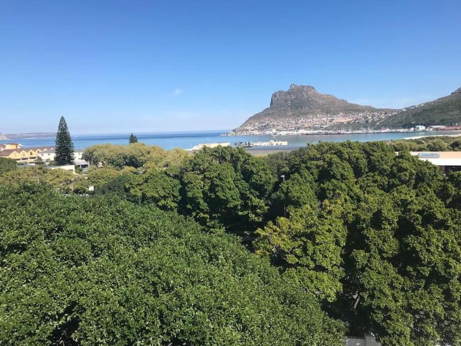 Chapman'S Peak, Loft Mit Sea-Und Mountainview Apartamento Hout Bay Exterior foto