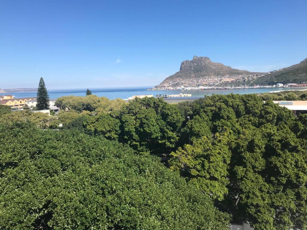 Chapman'S Peak, Loft Mit Sea-Und Mountainview Apartamento Hout Bay Exterior foto